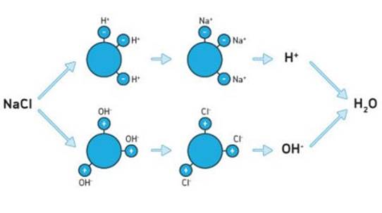 Mô hình của phương pháp trao đổi ion