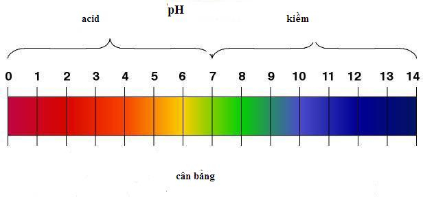 Chỉ số pH