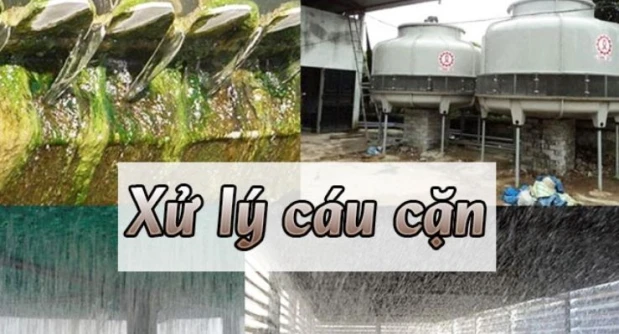 SO SÁNH XỬ LÝ CÁU CẶN BẰNG TỪ TRƯỜNG VÀ HẠT XÚC TÁC 